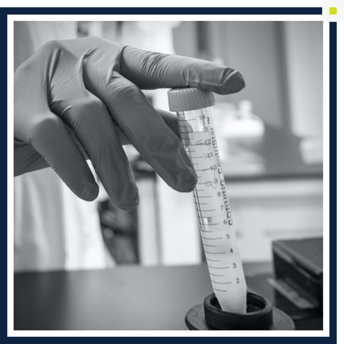 Pipeline | BridgeBio Oncology Therapeutics | Best-in-RAS