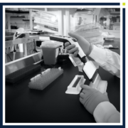 Pipeline | BridgeBio Oncology Therapeutics | Best-in-RAS